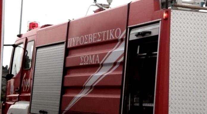 thermaikos-fwtia
