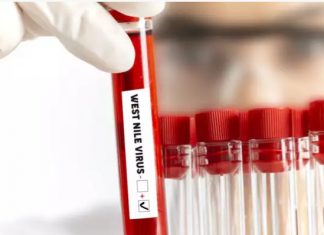 Στην λίστα του ΕΟΔΥ των Επηρεαζόμενων Περιοχών και ο Δήμος Θερμαϊκού από τον Ιό του Δυτικού Νείλου